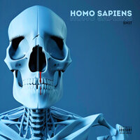 ТОП Чарт песни Homo Sapiens - Snit