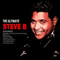 Stevie B